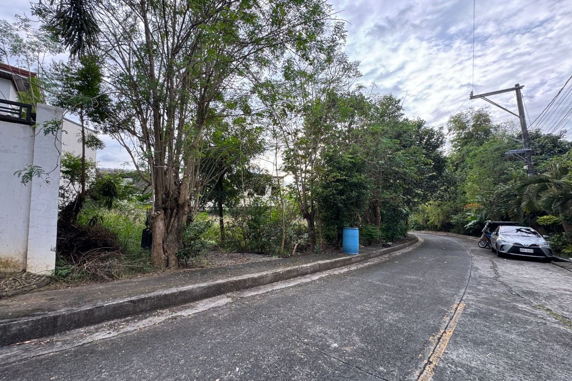 Land for Sale in San Juan, Taytay, Rizal – photo 2
