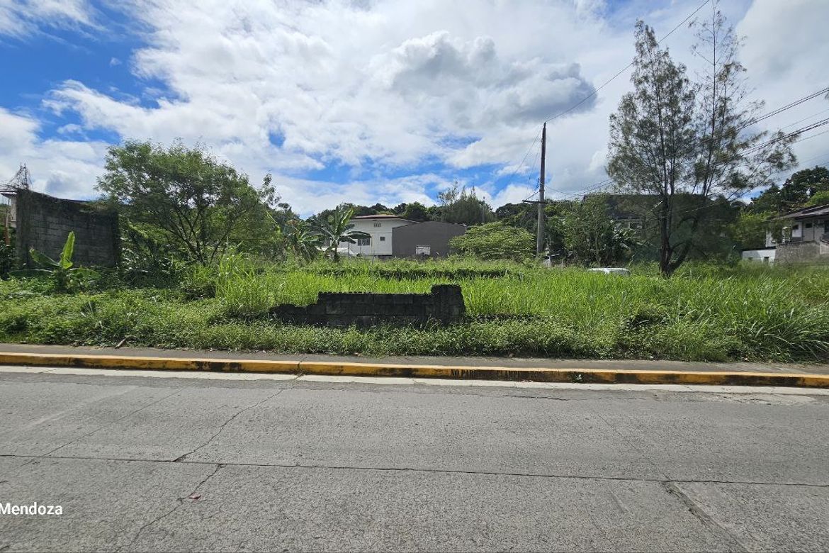 Land for Sale in San Juan, Taytay, Rizal – photo 2
