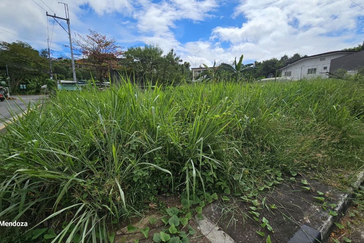 Land for Sale in San Juan, Taytay, Rizal – photo 3