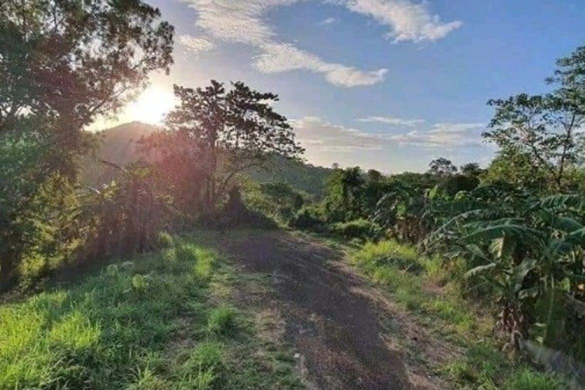 Land for Sale in San Juan, Taytay, Rizal – photo 4