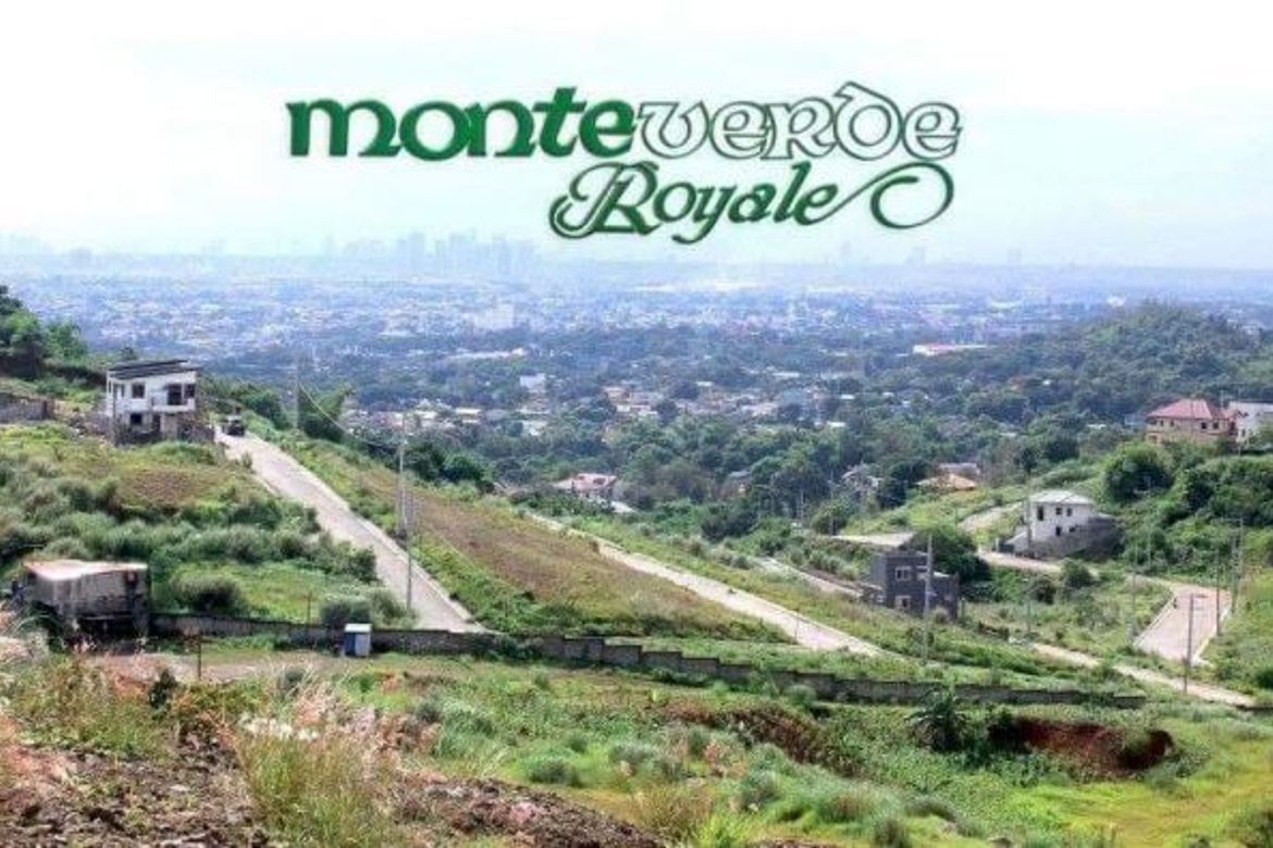Land for Sale in San Juan, Taytay, Rizal – photo 4