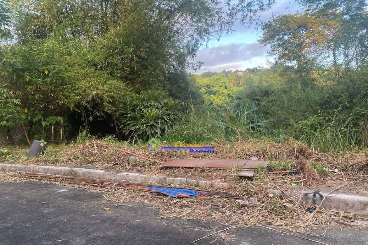 Land for Sale in San Juan, Taytay, Rizal – photo 3