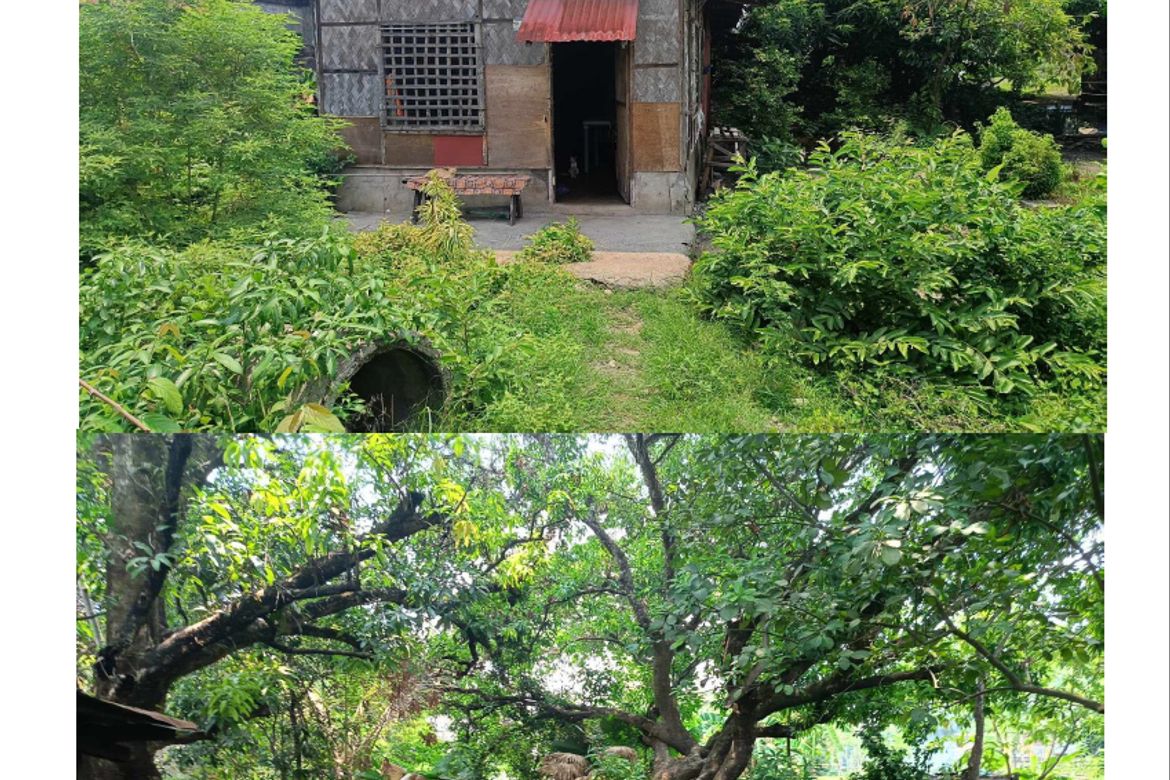 Land for Sale in San Julian, Malasiqui, Pangasinan – photo 2