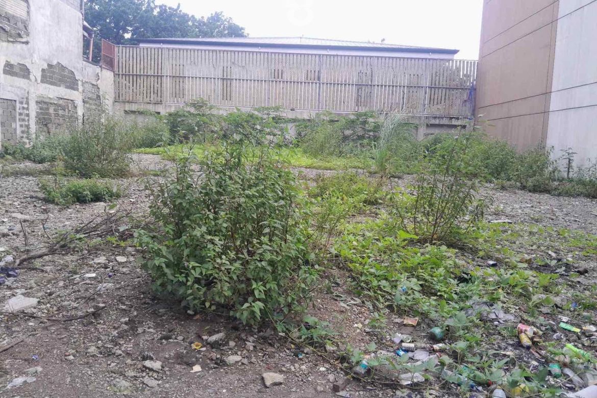 Land for Sale in San Lorenzo, Makati, Metro Manila near MRT-3 Ayala – photo 3