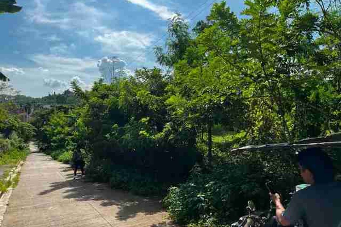 Land for Sale in San Lorenzo, Norzagaray, Bulacan – photo 2