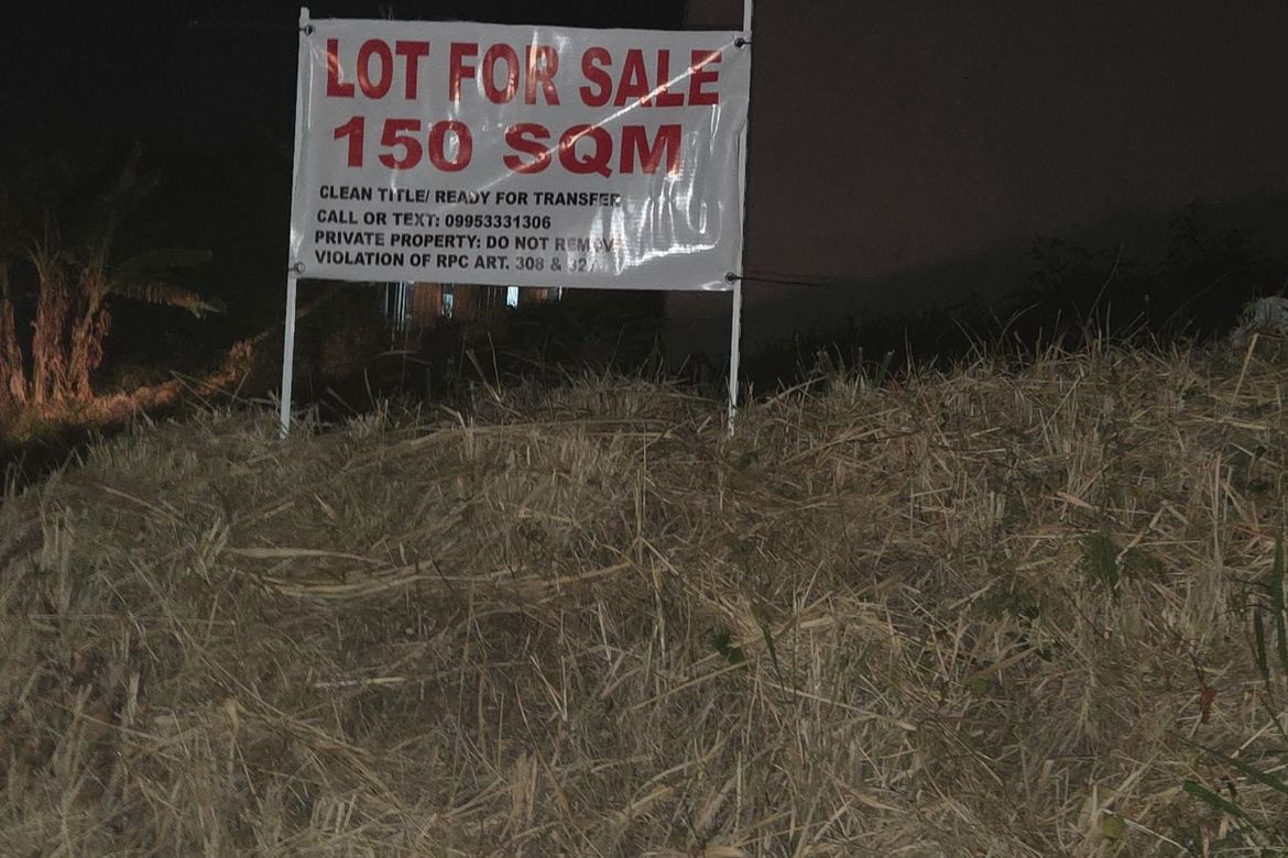 Land for Sale in San Luis, Antipolo, Rizal – photo 2