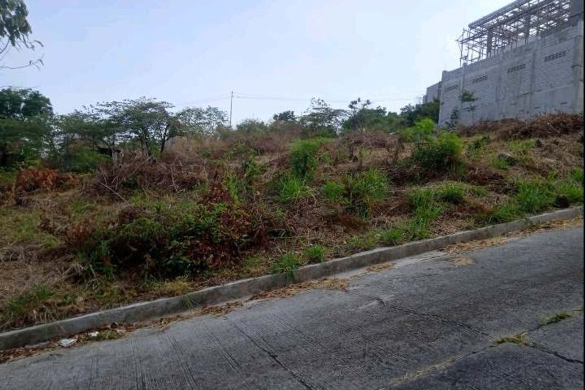 Land for Sale in San Luis, Antipolo, Rizal – photo 3