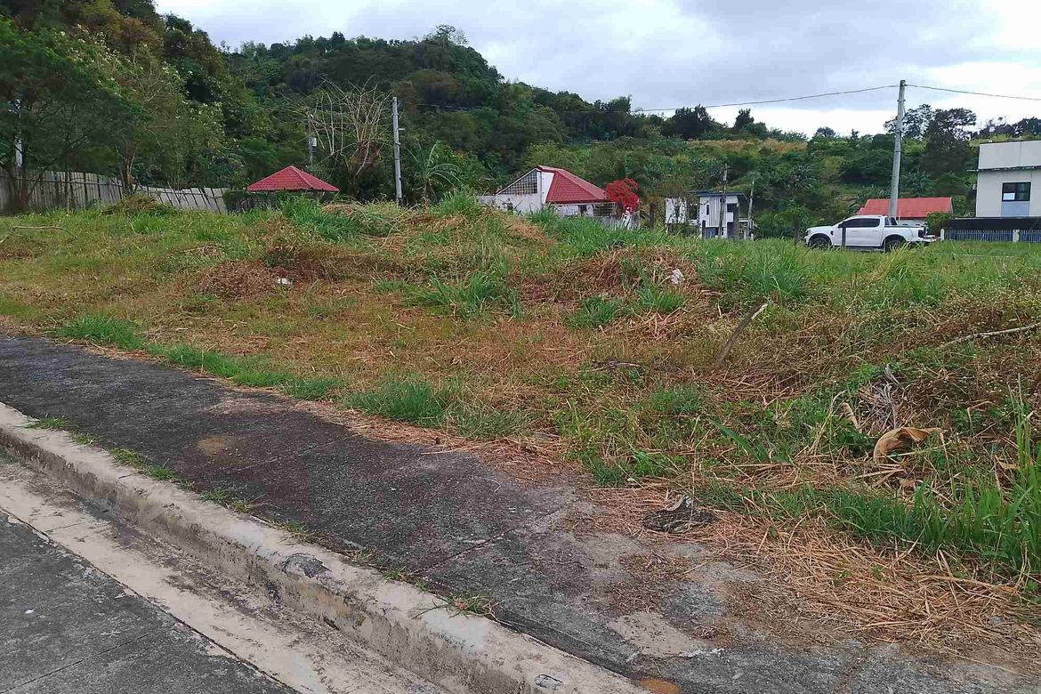 Land for Sale in San Luis, Antipolo, Rizal
