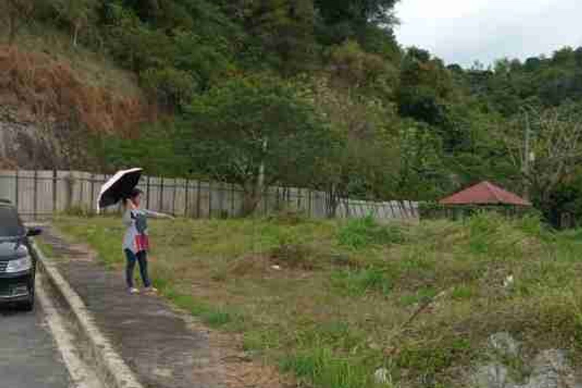 Land for Sale in San Luis, Antipolo, Rizal – photo 3