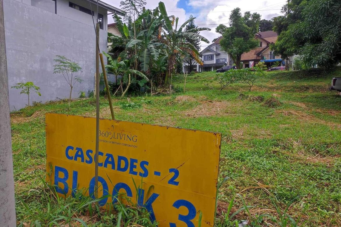 Land for Sale in San Luis, Antipolo, Rizal – photo 2