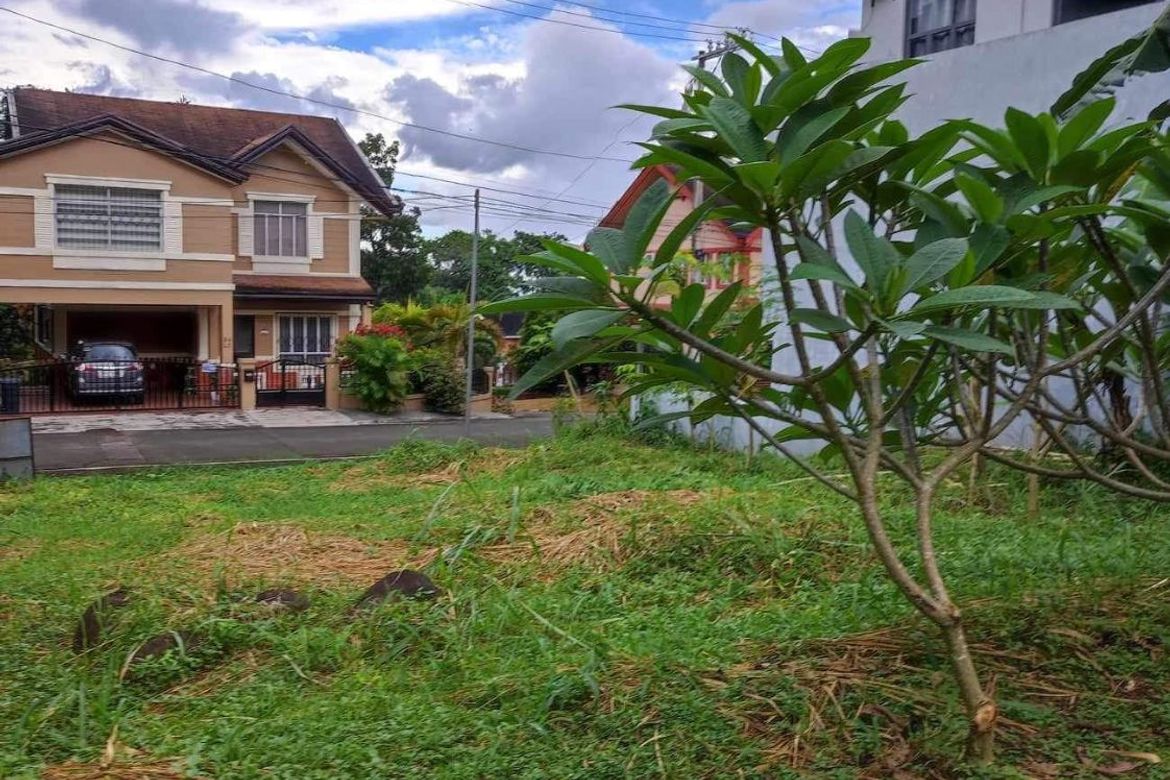 Land for Sale in San Luis, Antipolo, Rizal – photo 3