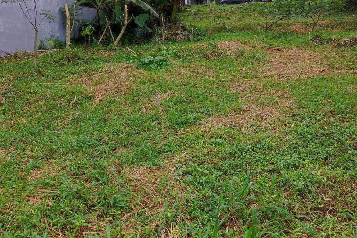 Land for Sale in San Luis, Antipolo, Rizal – photo 4