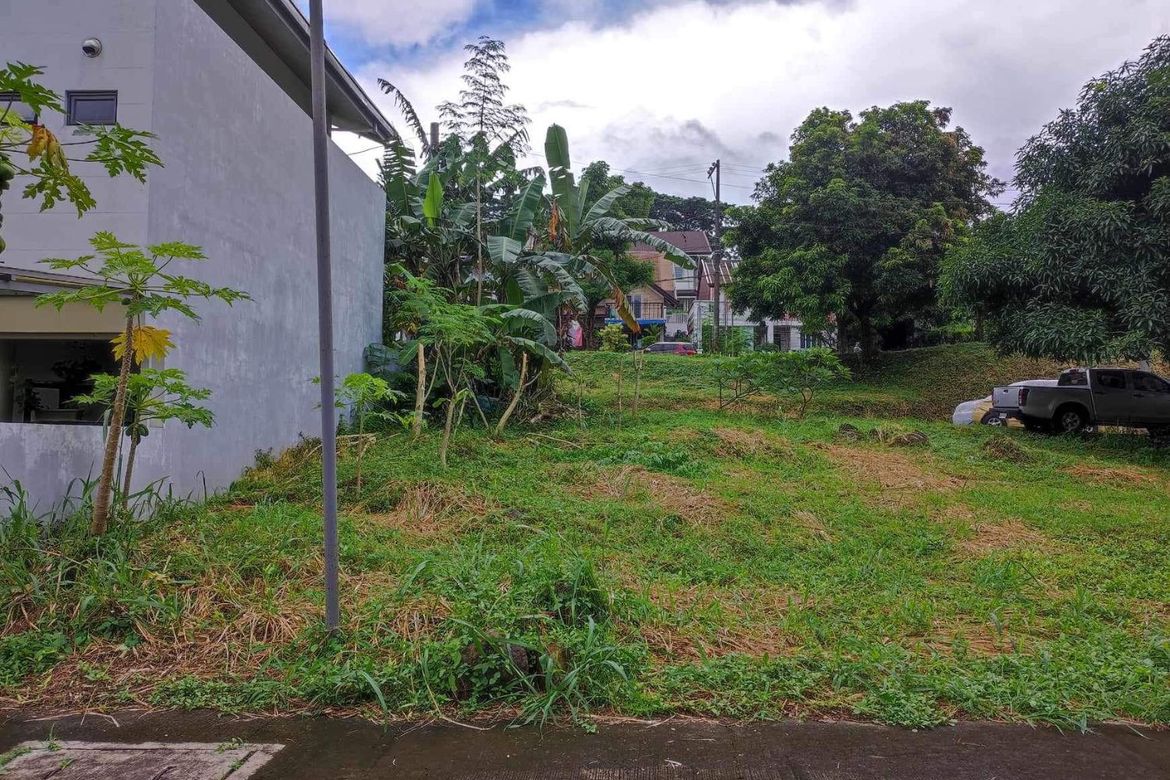 Land for Sale in San Luis, Antipolo, Rizal – photo 6