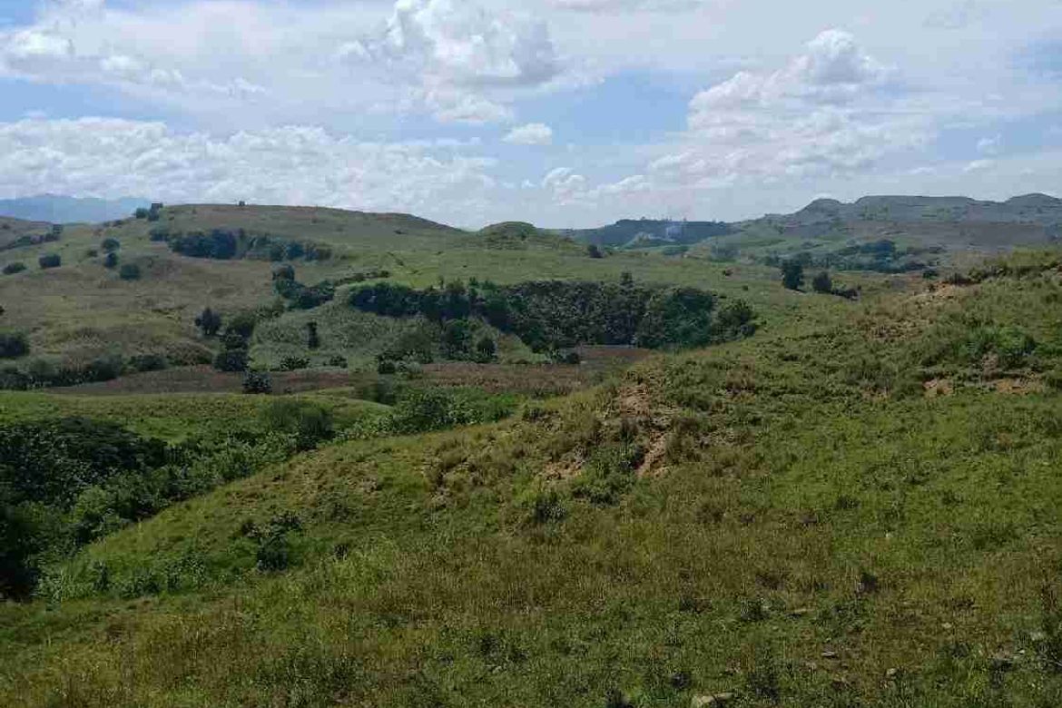 Land for Sale in San Luis, Cauayan, Isabela – photo 3