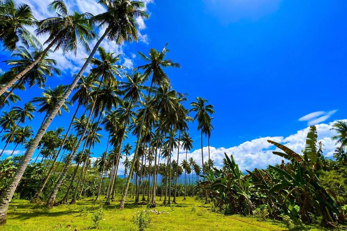 Land for Sale in San Luis, Gingoog, Misamis Oriental