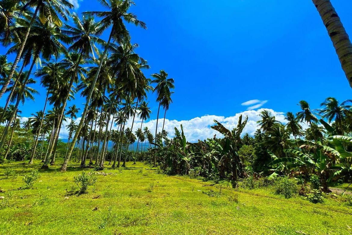 Land for Sale in San Luis, Gingoog, Misamis Oriental – photo 3