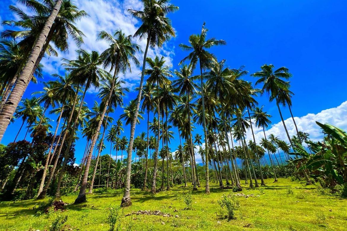 Land for Sale in San Luis, Gingoog, Misamis Oriental – photo 5
