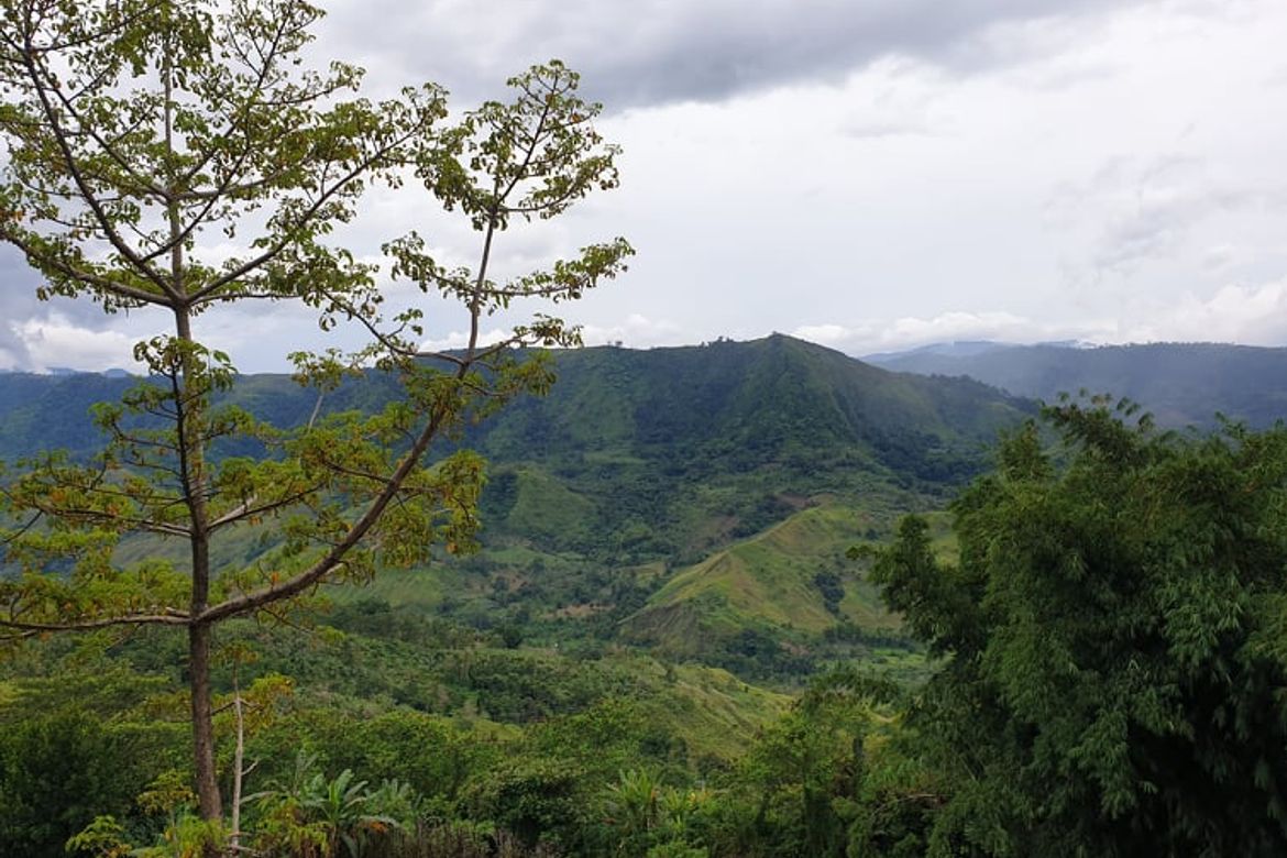 Land for Sale in San Luis, Malitbog, Bukidnon