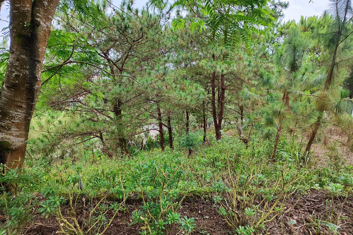 Land for Sale in San Luis Village, Baguio, Benguet