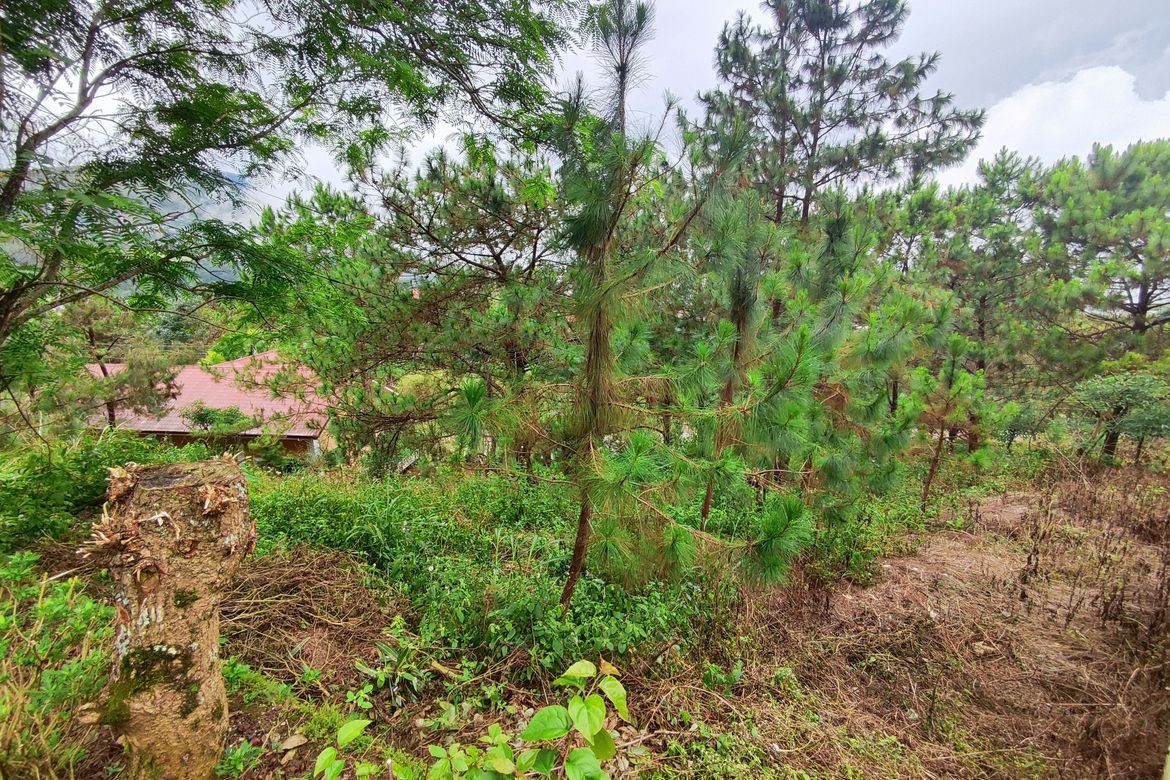 Land for Sale in San Luis Village, Baguio, Benguet – photo 2