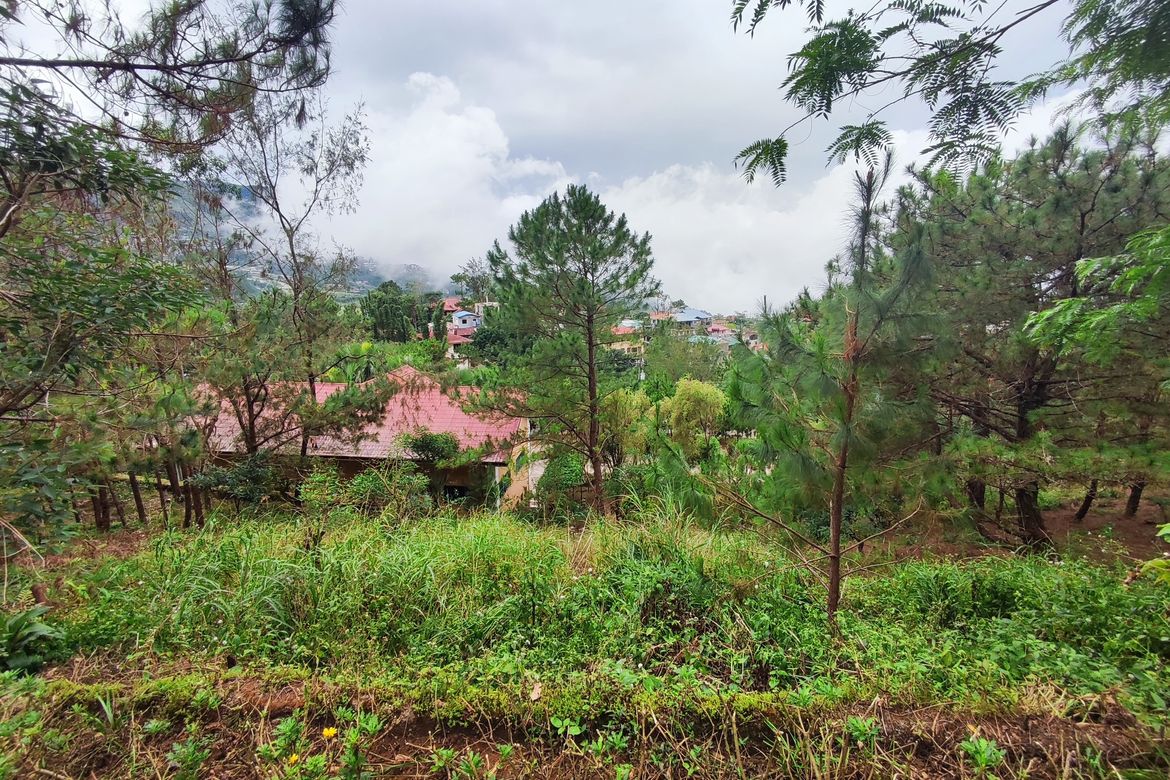 Land for Sale in San Luis Village, Baguio, Benguet – photo 3