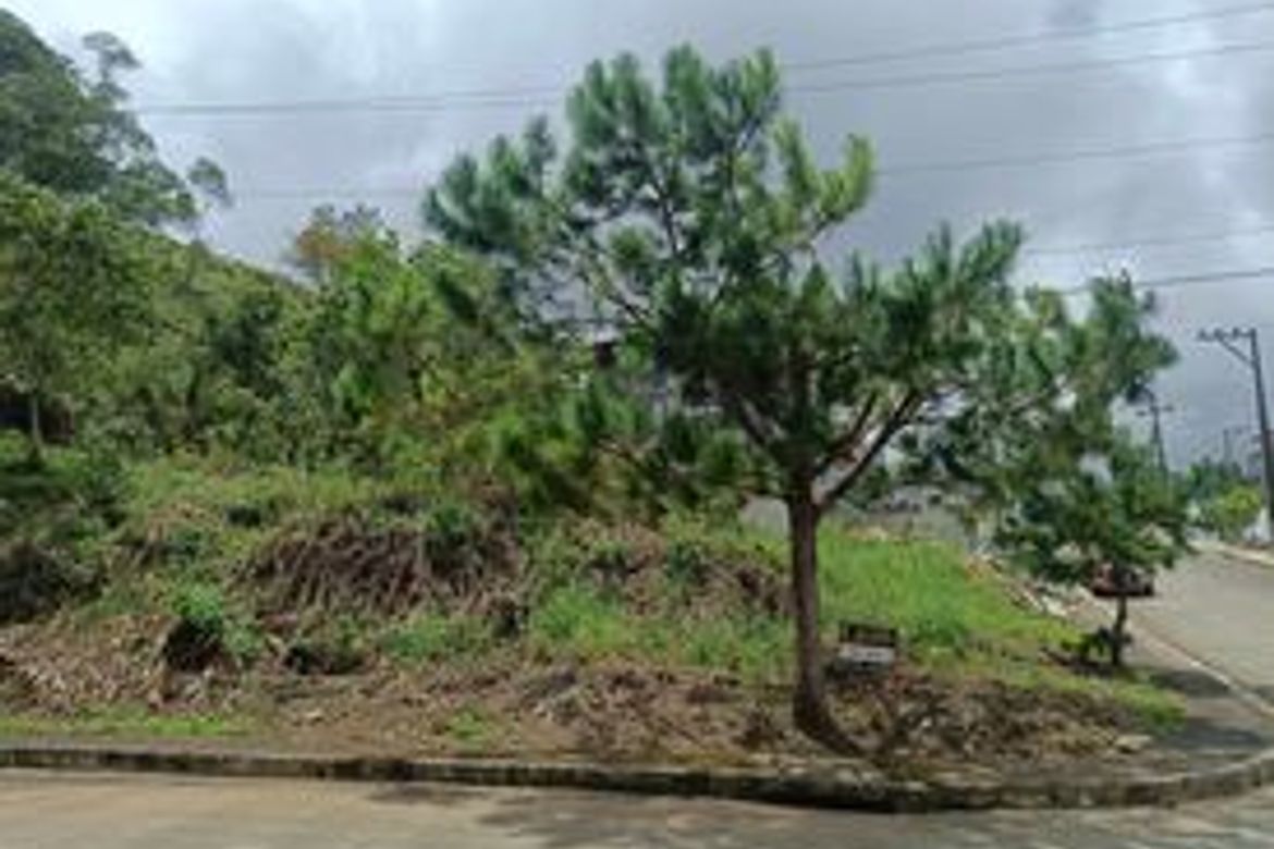 Land for Sale in San Luis Village, Baguio, Benguet