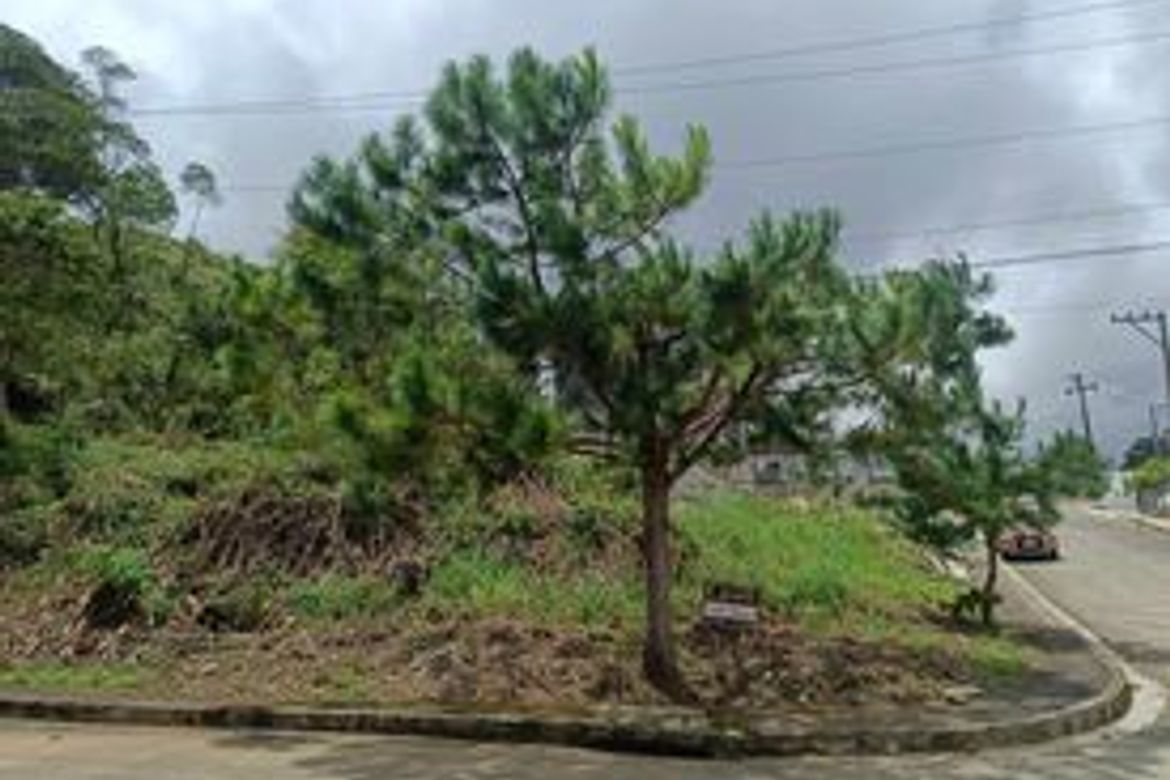 Land for Sale in San Luis Village, Baguio, Benguet – photo 3