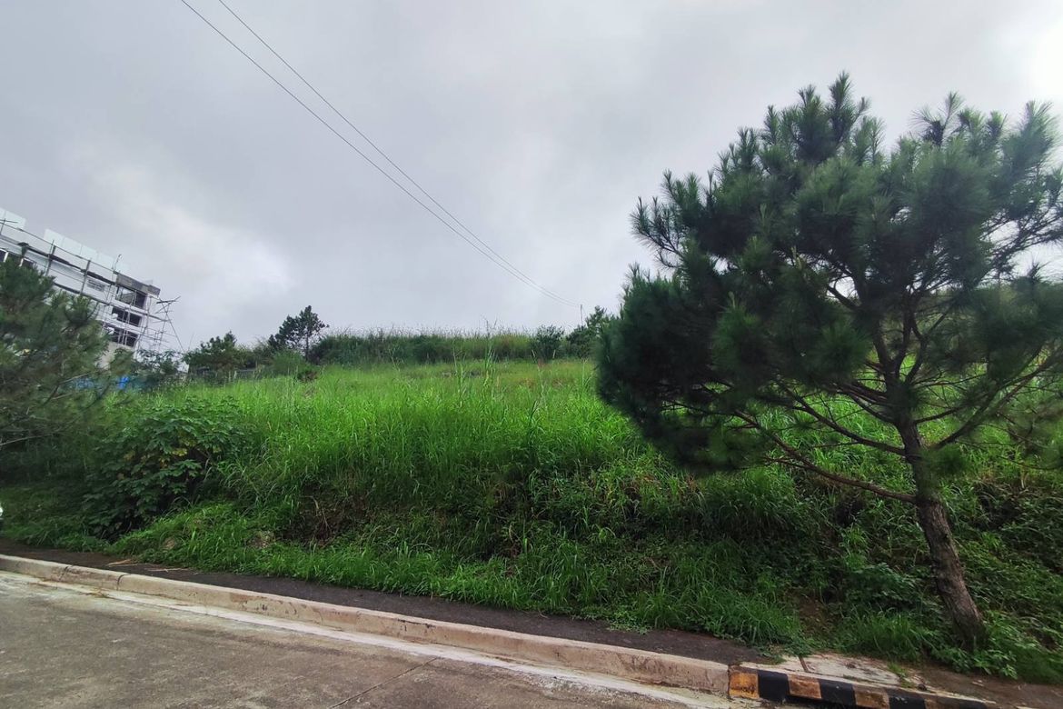 Land for Sale in San Luis Village, Baguio, Benguet – photo 7