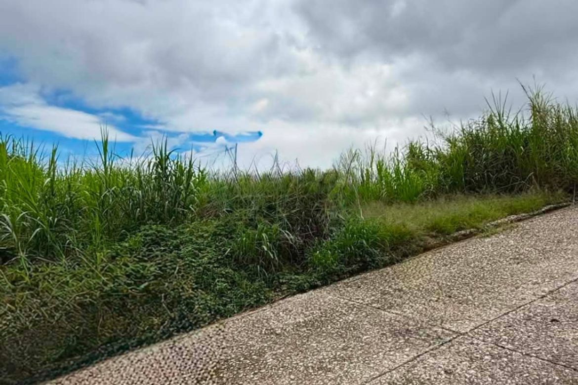 Land for Sale in San Luis Village, Baguio, Benguet – photo 4