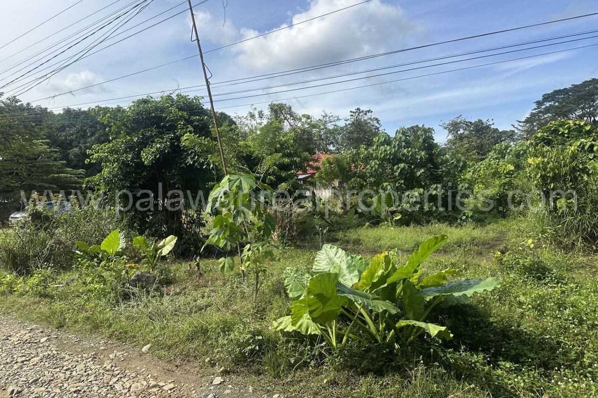 Land for Sale in San Manuel, Puerto Princesa, Palawan