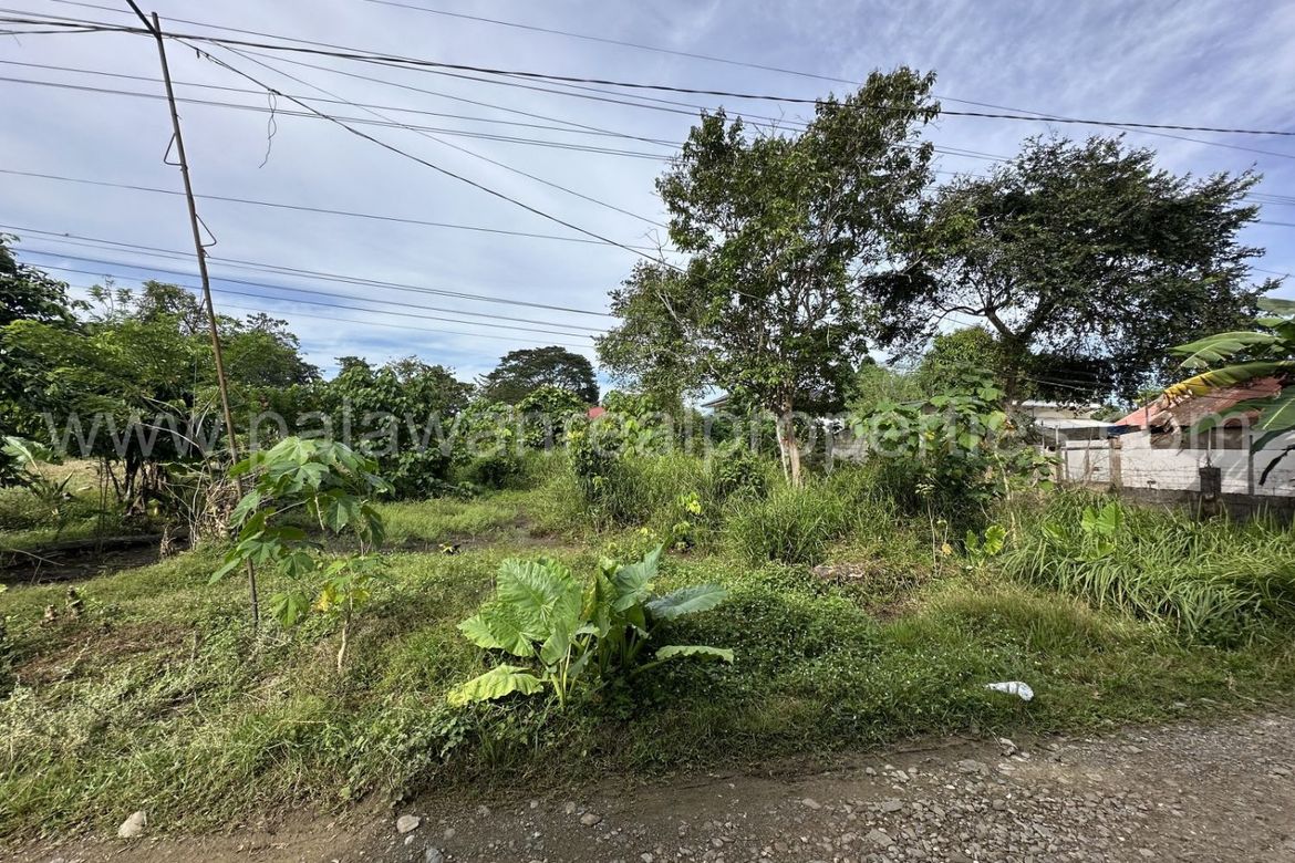 Land for Sale in San Manuel, Puerto Princesa, Palawan – photo 5