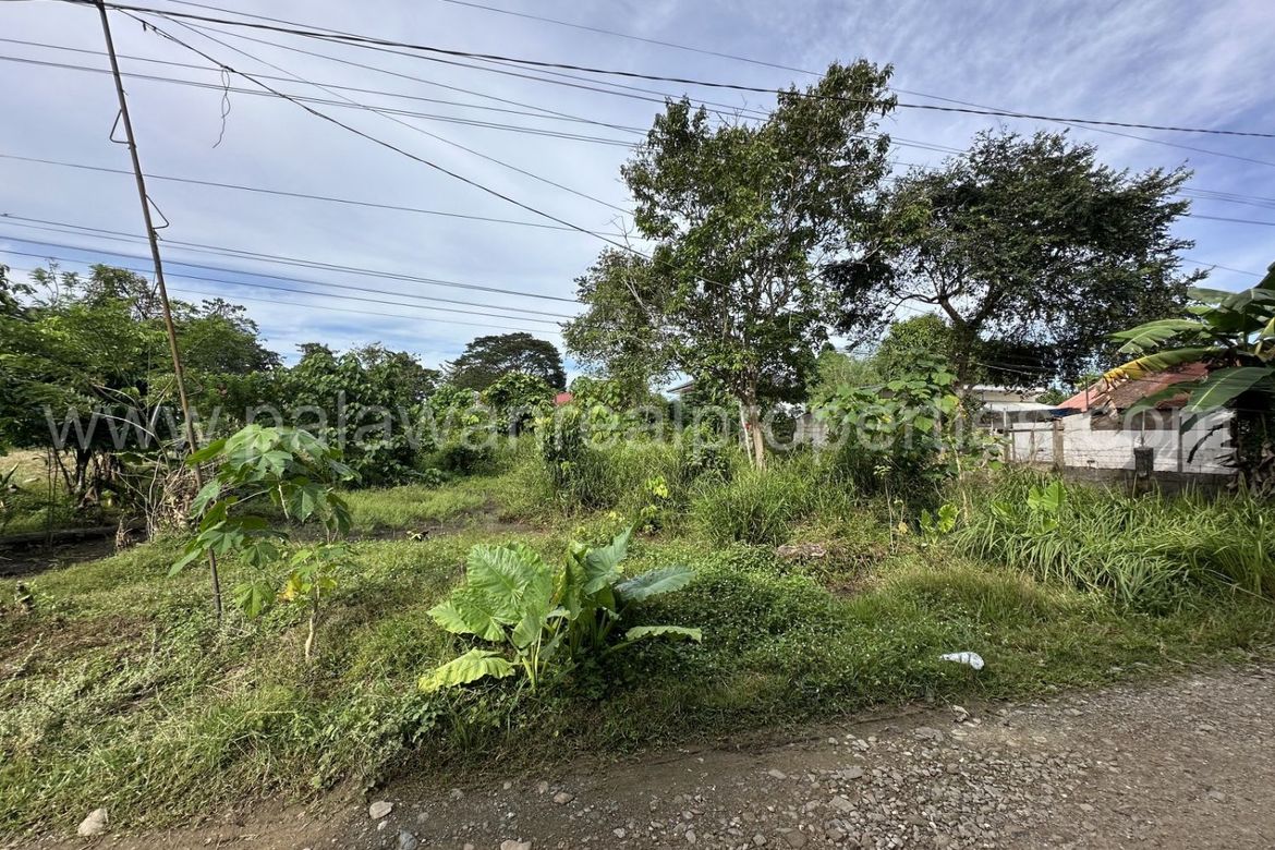 Land for Sale in San Manuel, Puerto Princesa, Palawan – photo 6