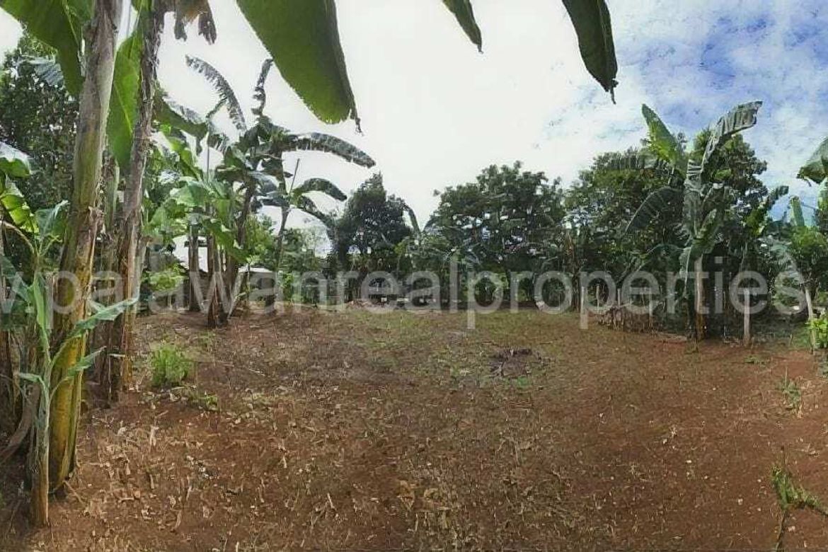 Land for Sale in San Manuel, Puerto Princesa, Palawan – photo 3
