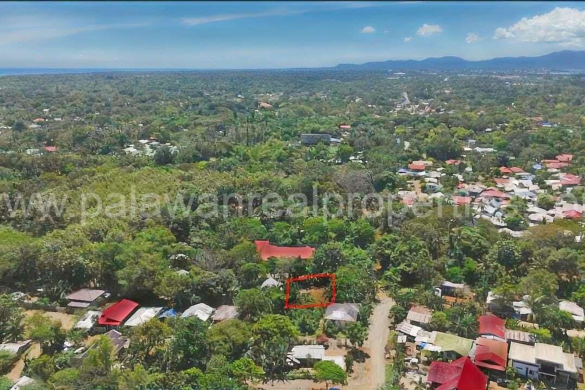Land for Sale in San Manuel, Puerto Princesa, Palawan – photo 7