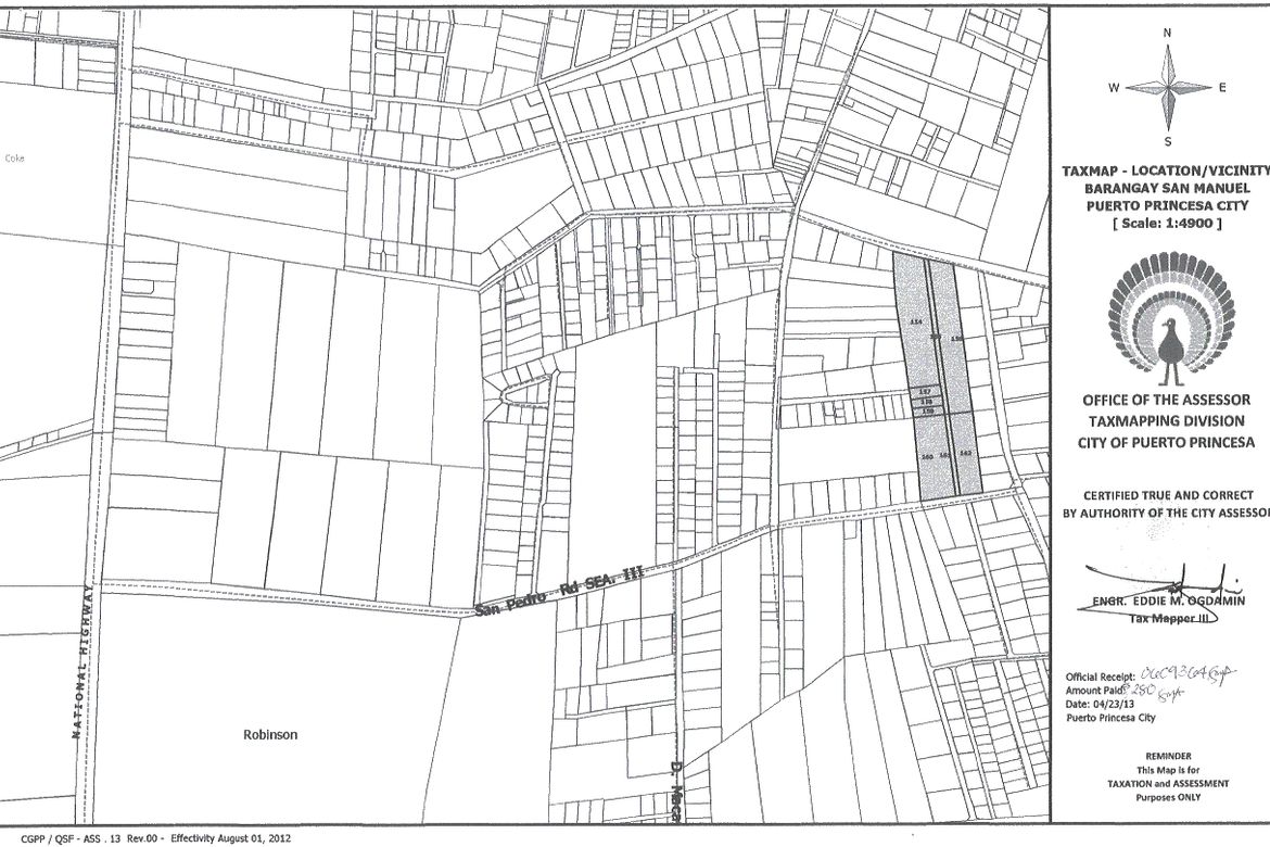 Land for Sale in San Manuel, Puerto Princesa, Palawan – photo 3