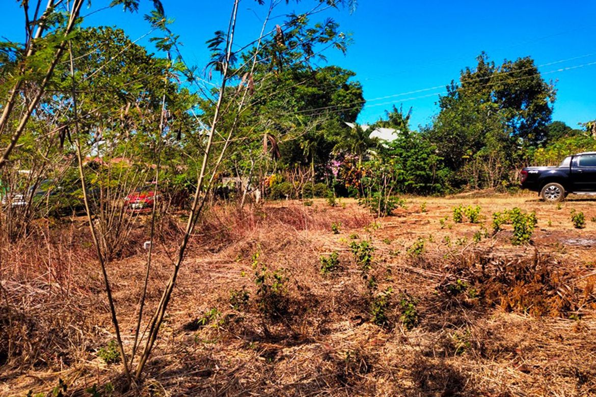 Land for Sale in San Manuel, Puerto Princesa, Palawan – photo 3
