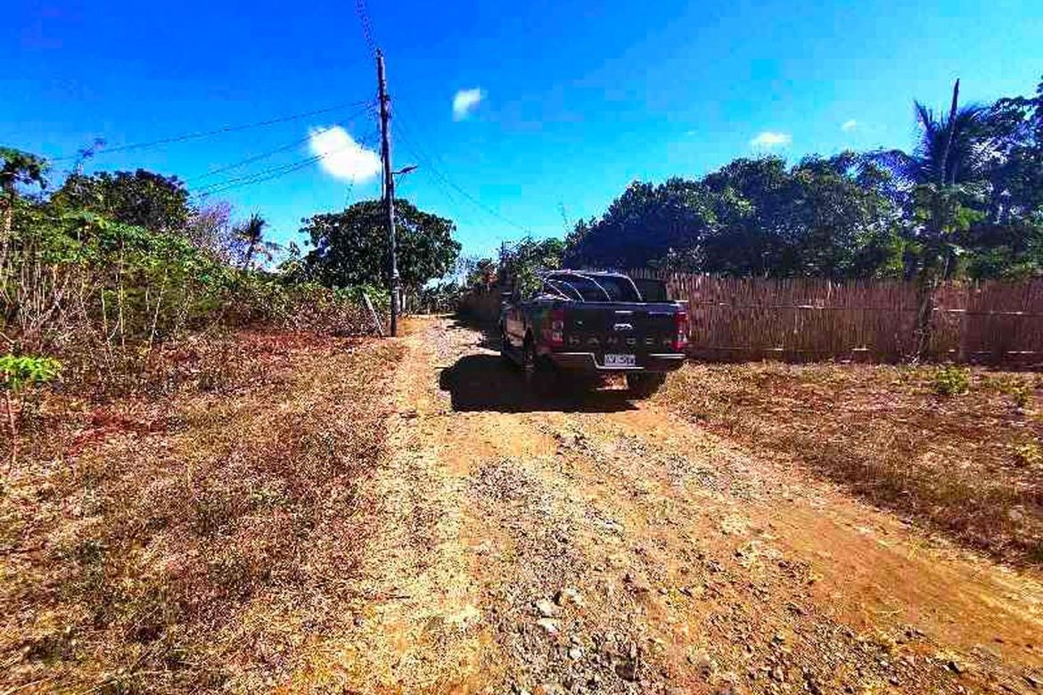Land for Sale in San Manuel, Puerto Princesa, Palawan – photo 5