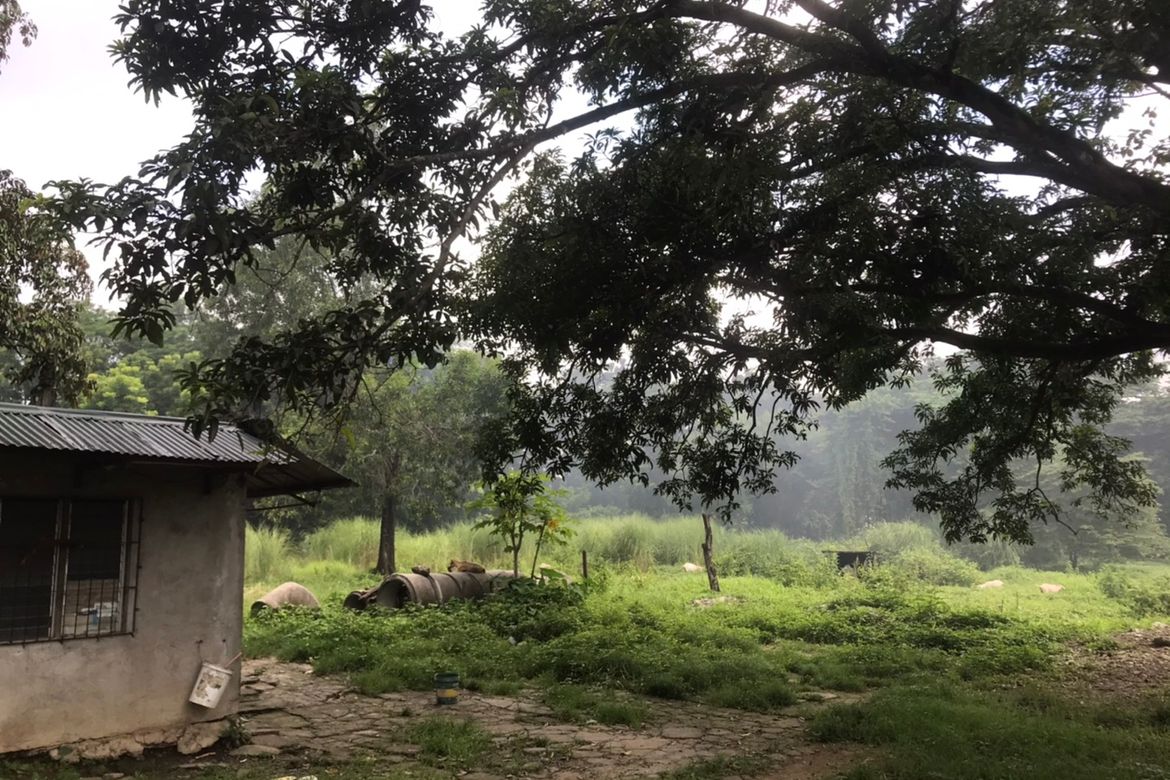 Land for Sale in San Manuel, San Jose del Monte, Bulacan – photo 2