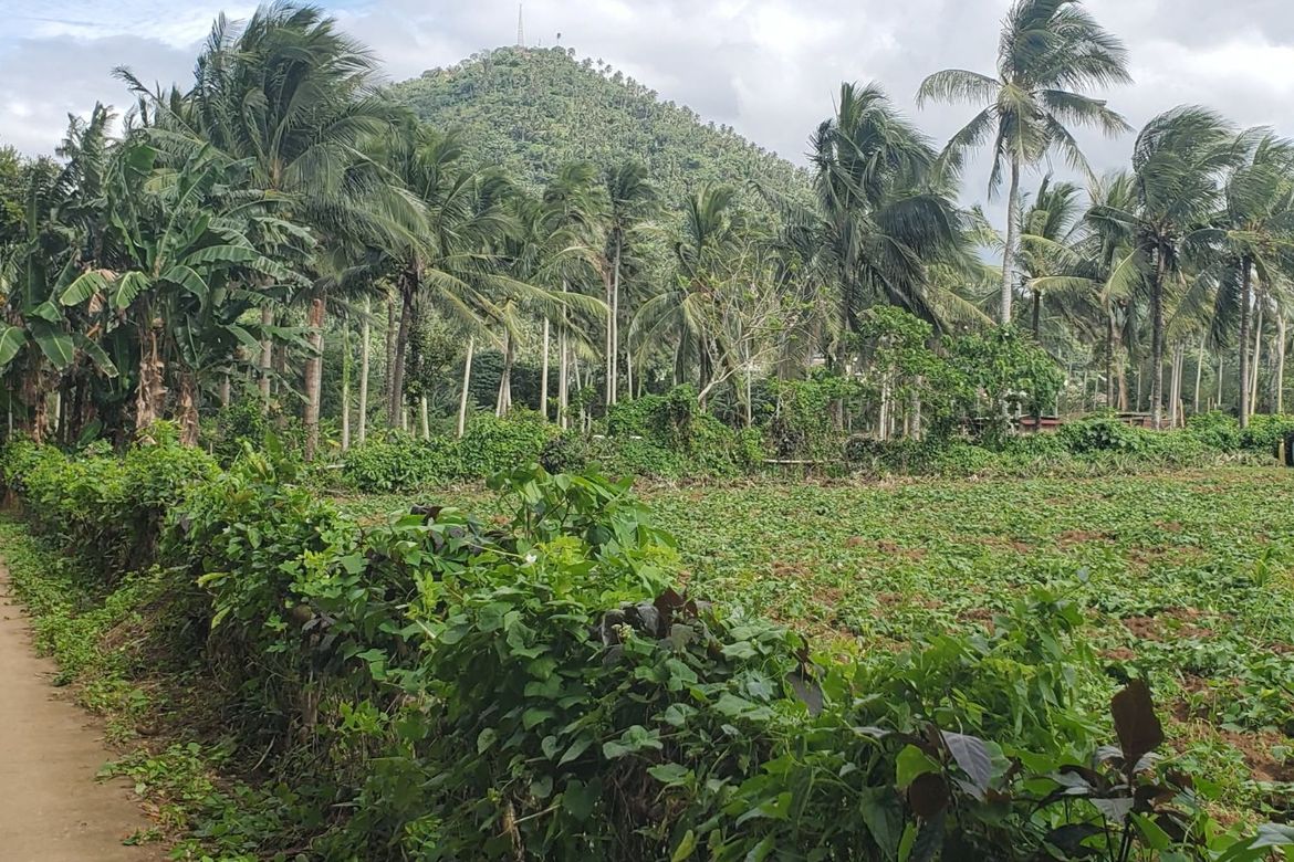 Land for Sale in San Marcos, San Pablo, Laguna – photo 2