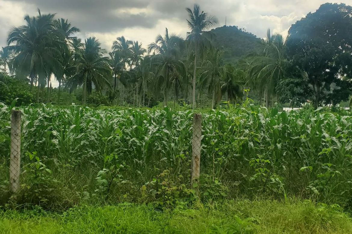 Land for Sale in San Marcos, San Pablo, Laguna – photo 3