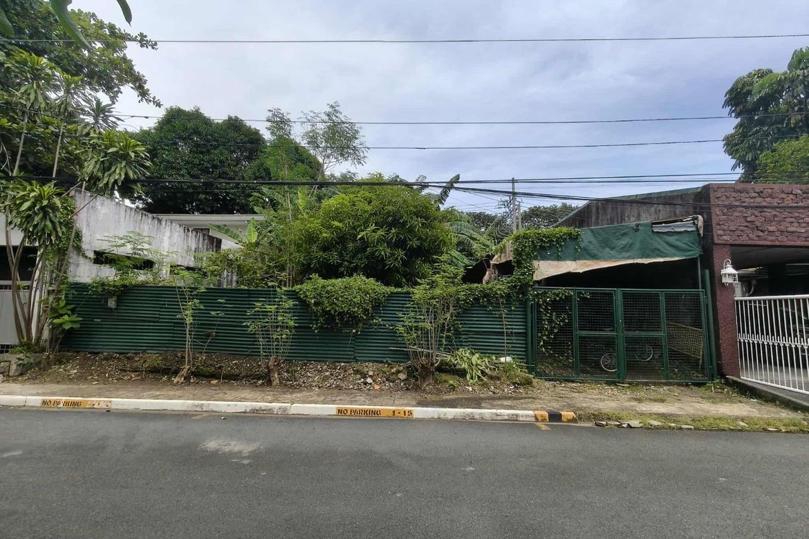 Land for Sale in San Martin de Porres, Parañaque, Metro Manila – photo 2