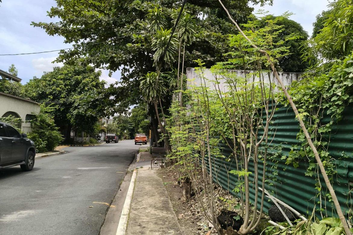 Land for Sale in San Martin de Porres, Parañaque, Metro Manila – photo 5