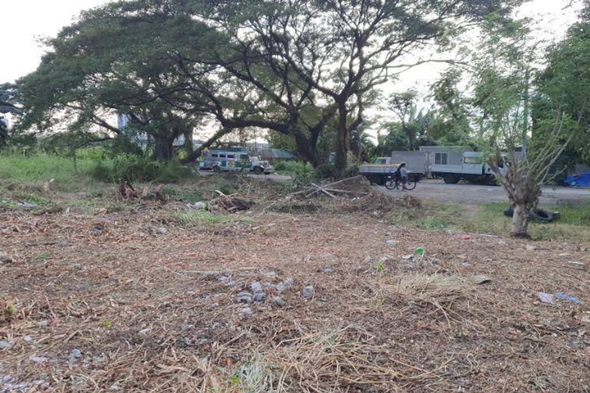 Land for Sale in San Martin de Porres, Parañaque, Metro Manila – photo 5