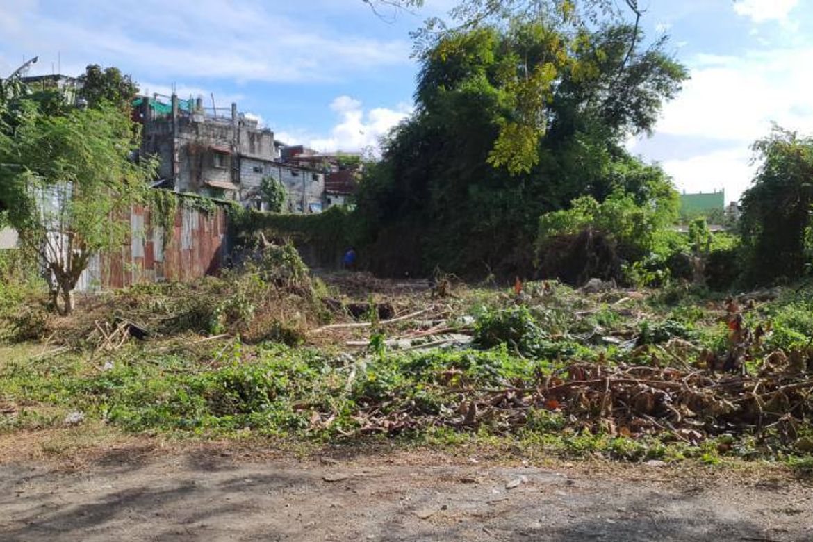 Land for Sale in San Martin de Porres, Parañaque, Metro Manila – photo 7
