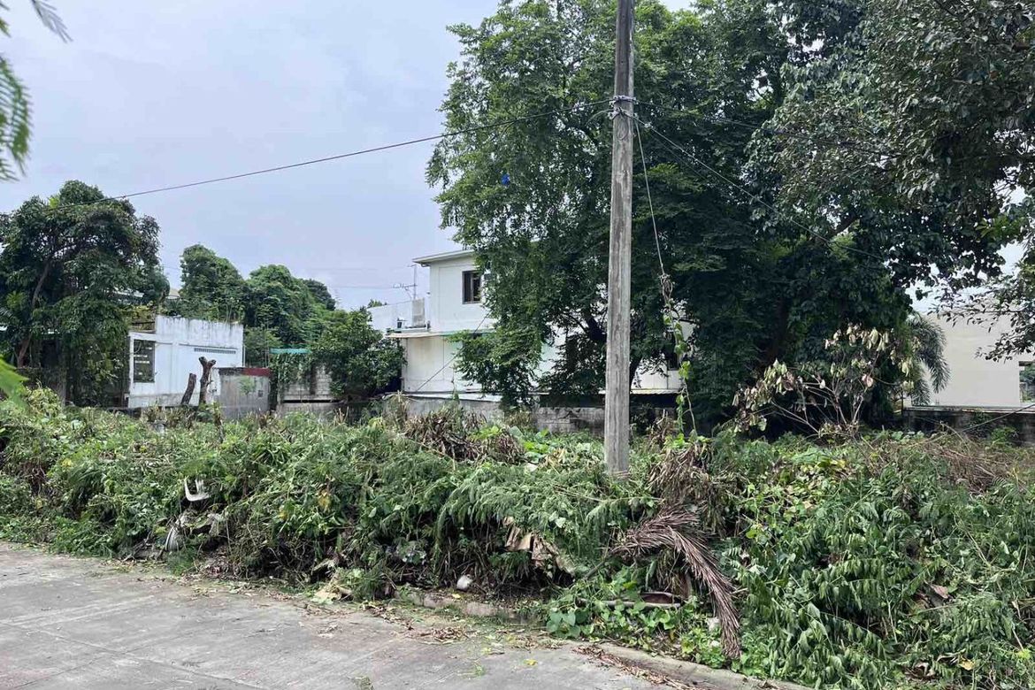 Land for Sale in San Martin de Porres, Parañaque, Metro Manila – photo 2
