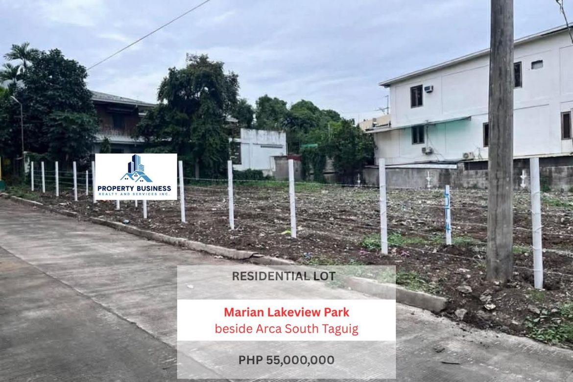 Land for Sale in San Martin de Porres, Parañaque, Metro Manila – photo 3