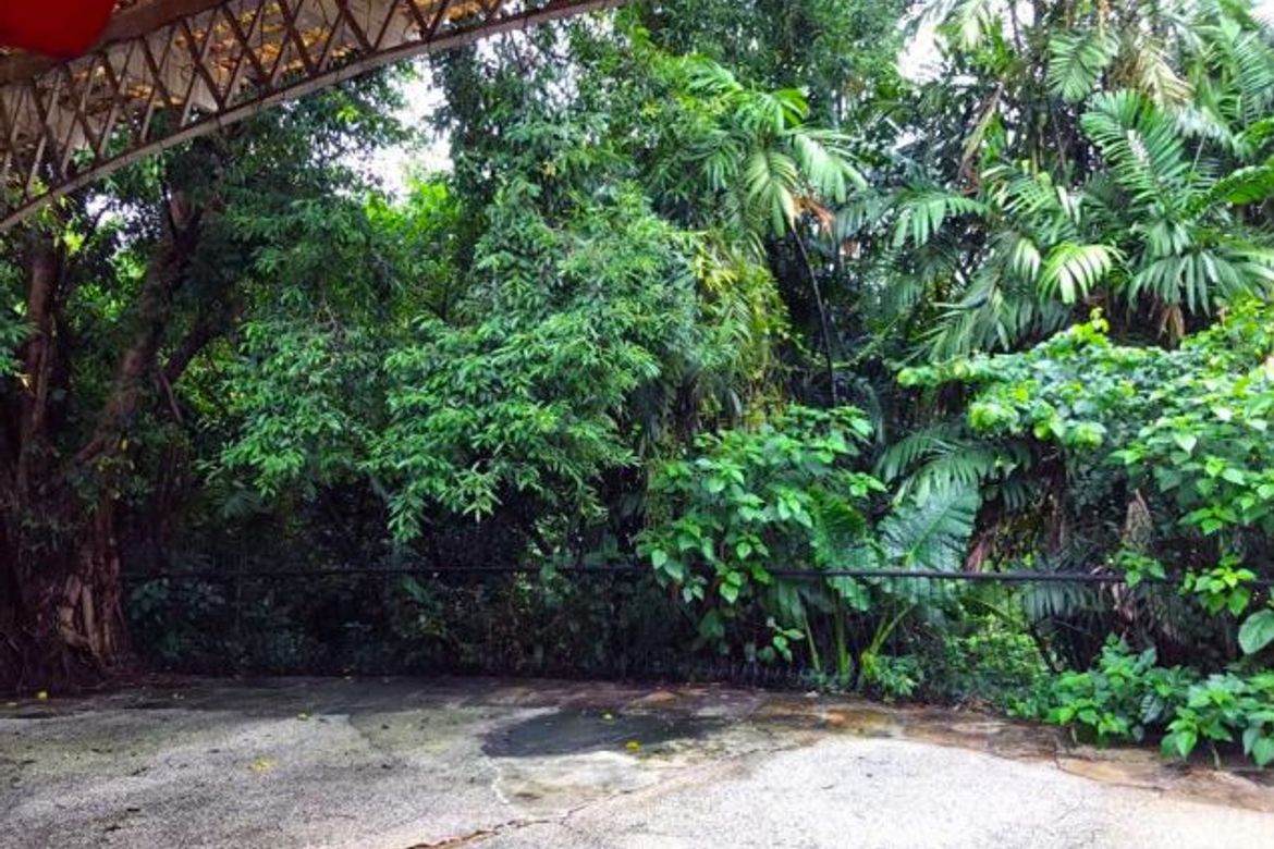 Land for Sale in San Martin de Porres, Quezon City, Metro Manila near MRT-3 Araneta Center-Cubao