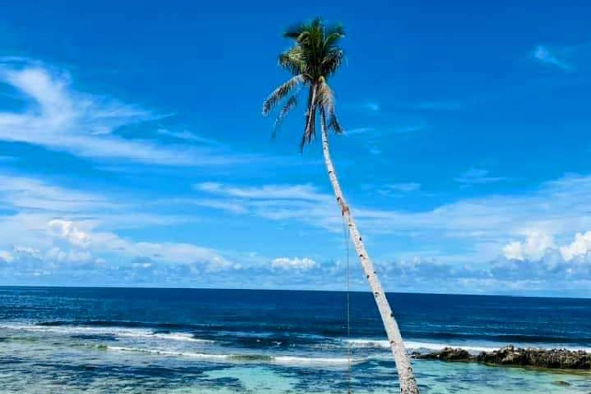 Land for Sale in San Mateo, Burgos, Surigao del Norte – photo 2