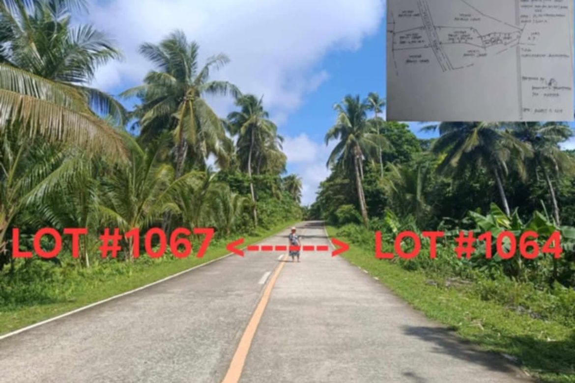 Land for Sale in San Mateo, Burgos, Surigao del Norte