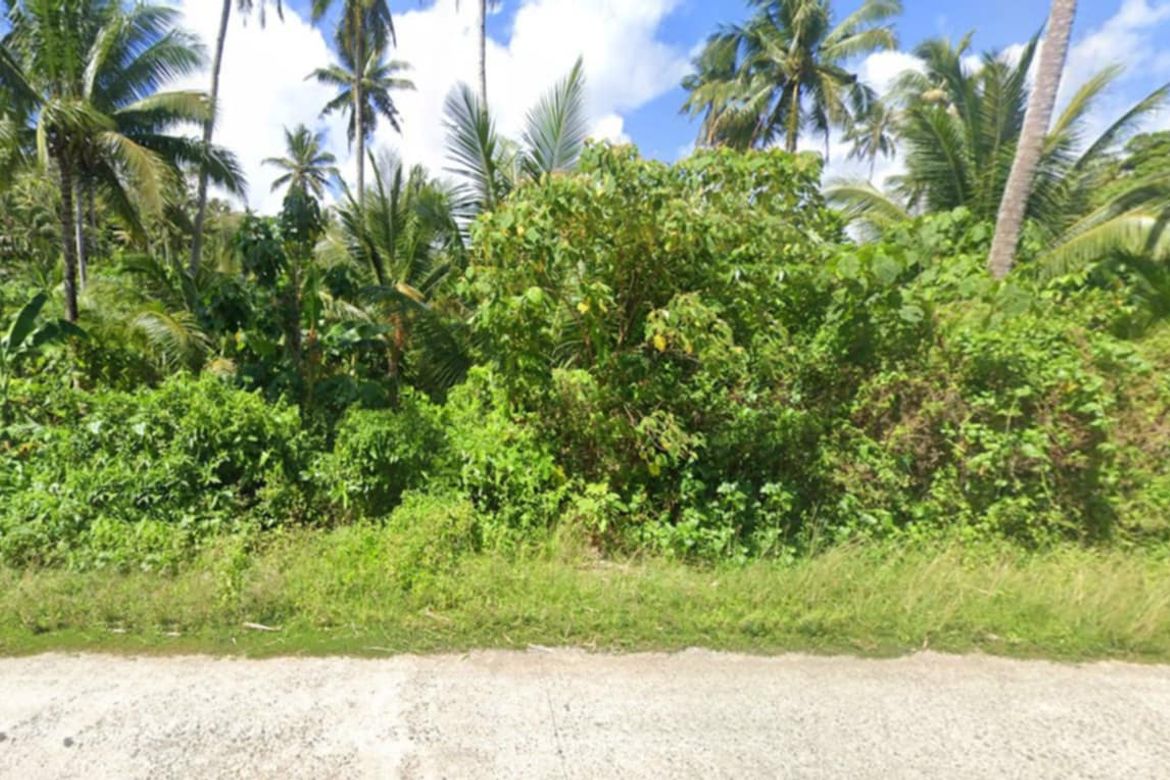 Land for Sale in San Mateo, Burgos, Surigao del Norte – photo 2